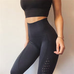 Seamless Shark Yoga Pants