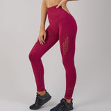 Seamless Shark Yoga Pants