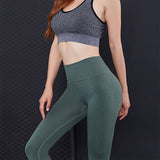 Women Seamless Yoga Pants